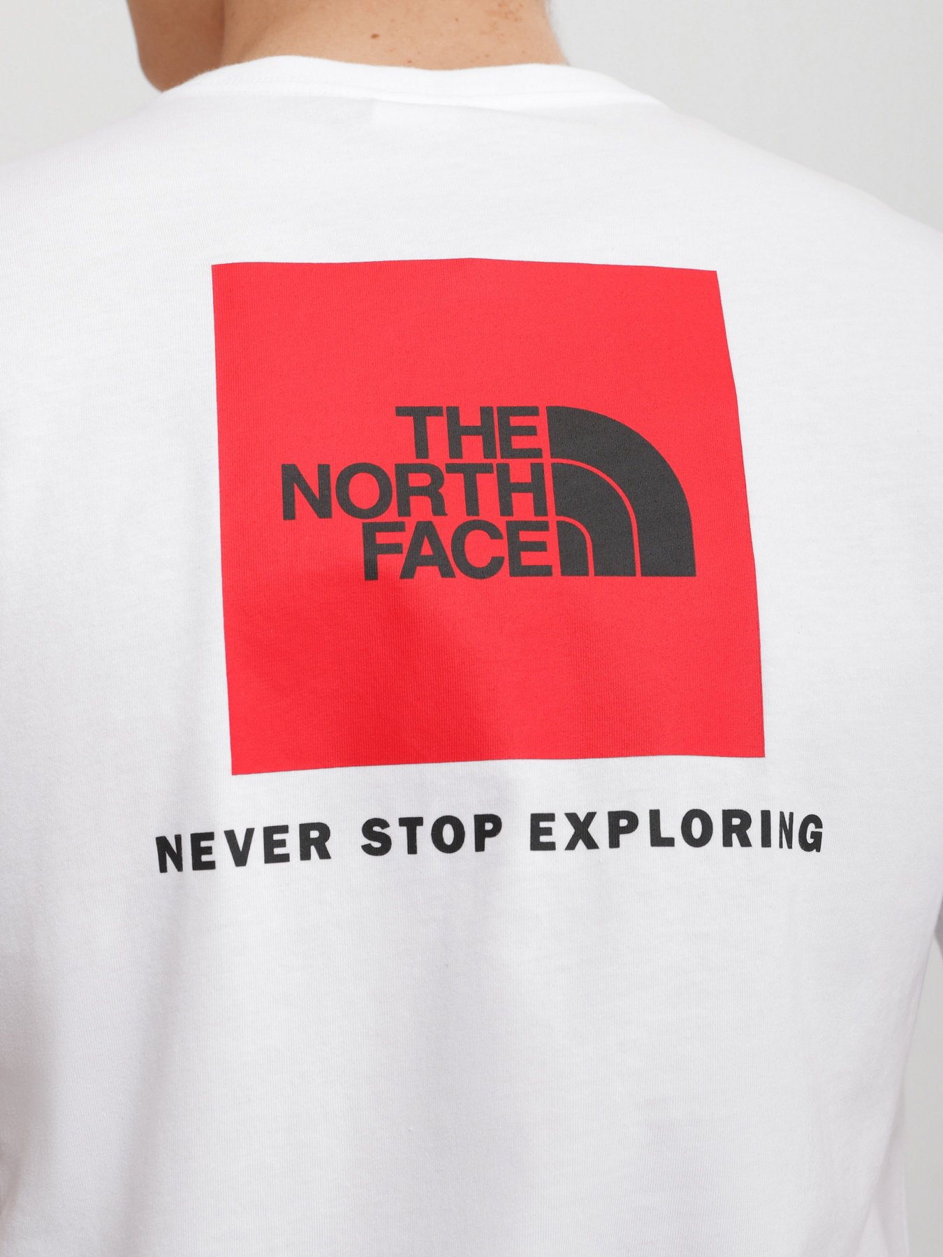 Футболка The North Face REDBOX модель NF0A2TX2FN41 Футболка The North Face REDBOX модель NF0A2TX2FN41 Фото