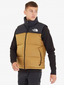 Жилеты The North Face модель NF0A3JQQD9V1 Фото