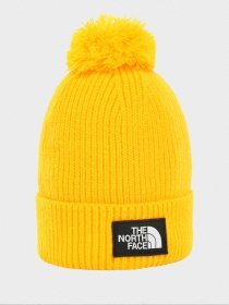 Шапка The North Face модель NF0A3FN370M1 Фото
