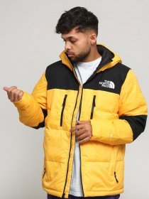 Куртки The North Face модель NF0A3OED70M1 Фото