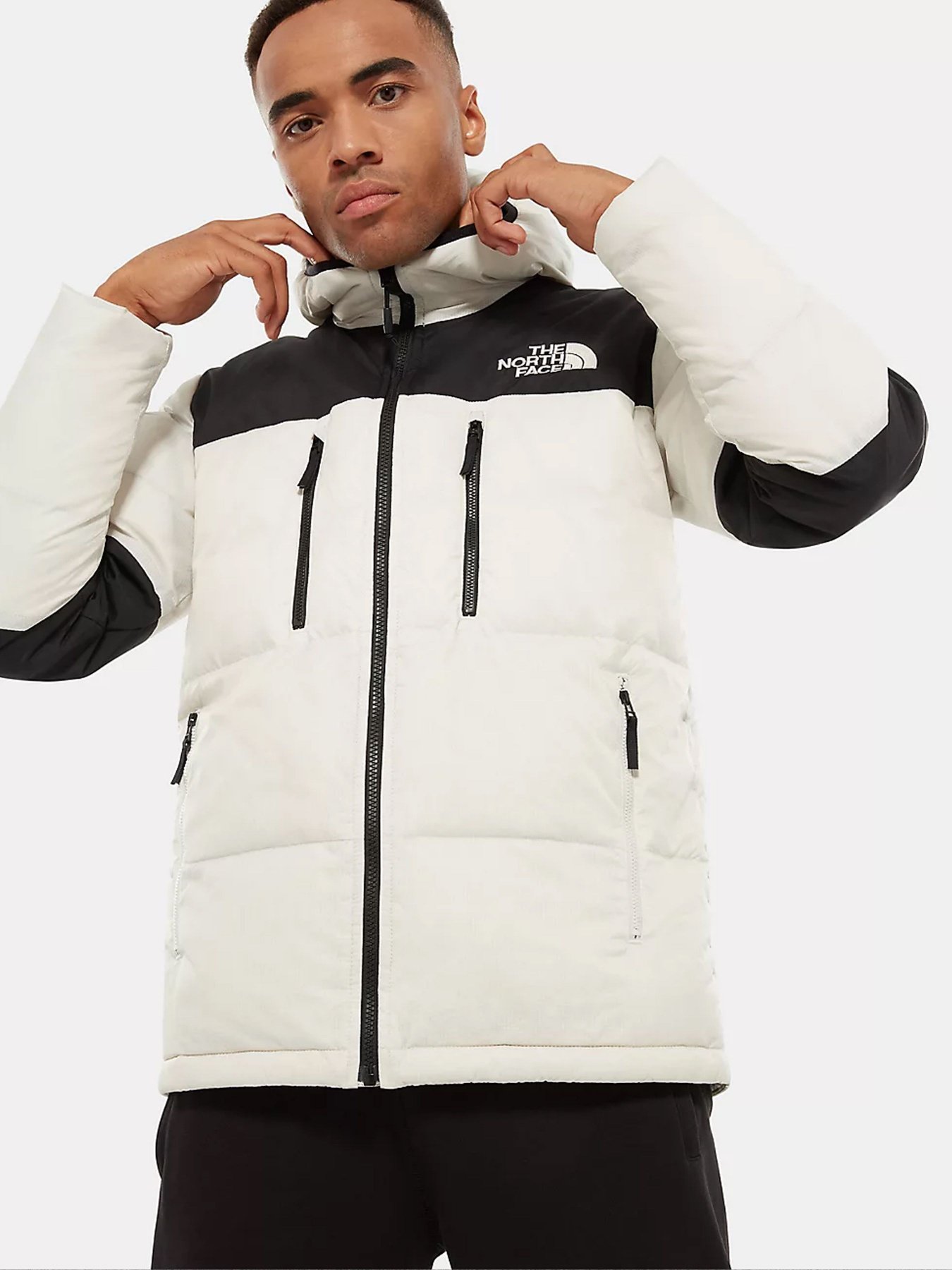 Куртки та дублянки The North Face модель NF0A3OEDQG21 Фото