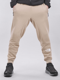 Повседневные штаны The North Face модель NF0A3RYEZDL1 Фото