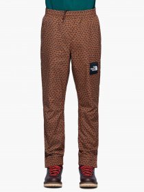 Повседневные штаны The North Face модель NF0A3XXLUBT1 Фото