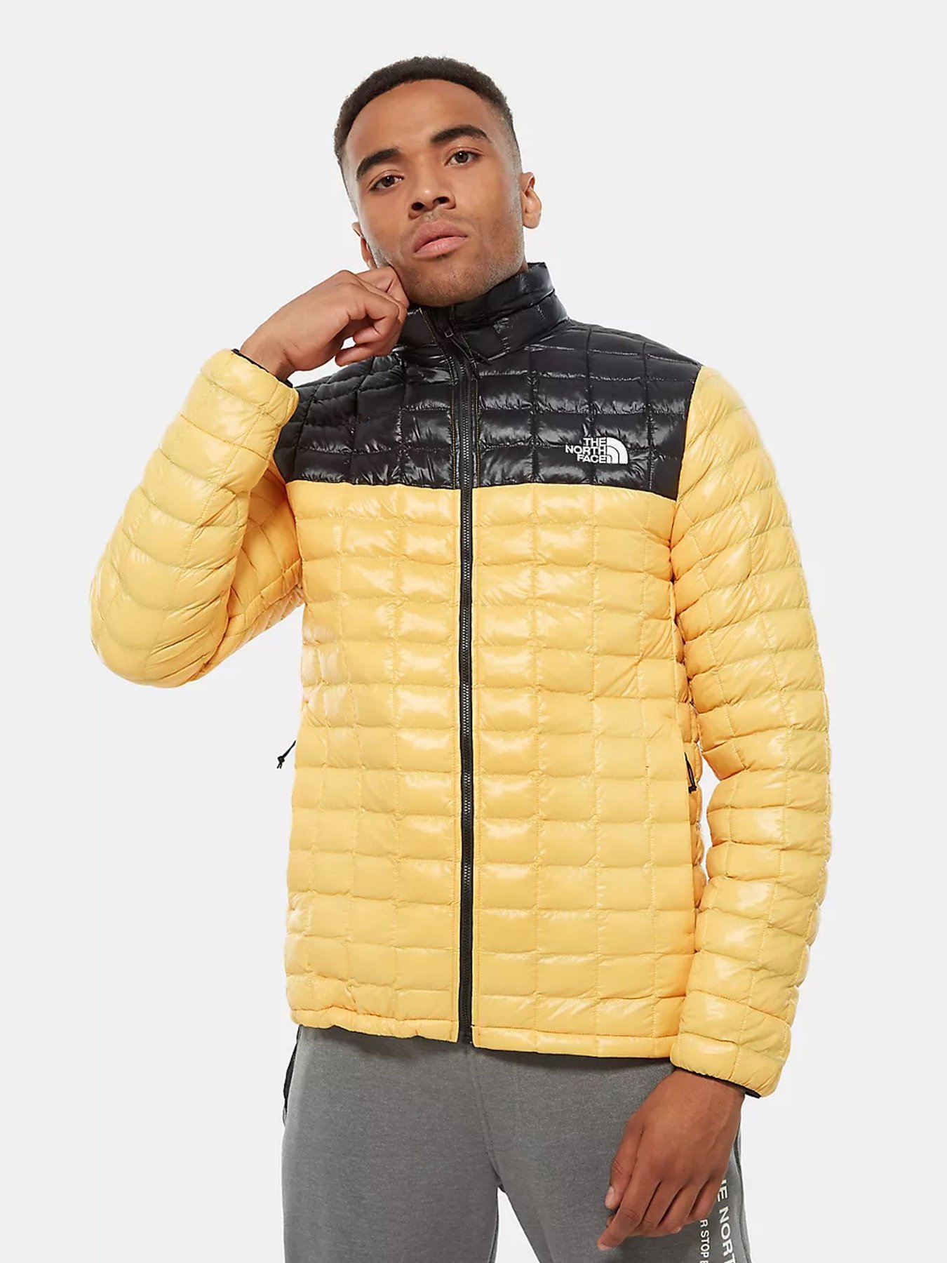Куртка The North Face ThermoBall Eco модель NF0A3Y3NLR01 Фото