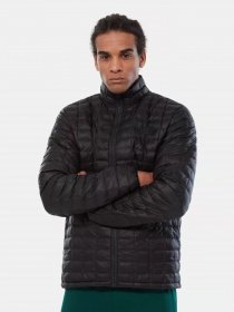Зимняя куртка The North Face Thermoball модель NF0A3Y3NXYM1 Фото