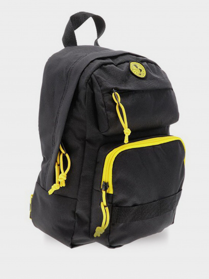 Рюкзаки Vans NAT GEO BACKPACK модель VN0A4RGRBLK1 — фото 3 - INTERTOP