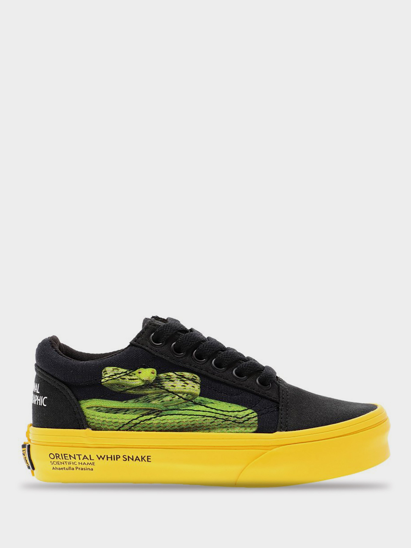 Кеди низькі Vans x National Geographic Old Skool  модель VN0A4BUUWK61 Фото