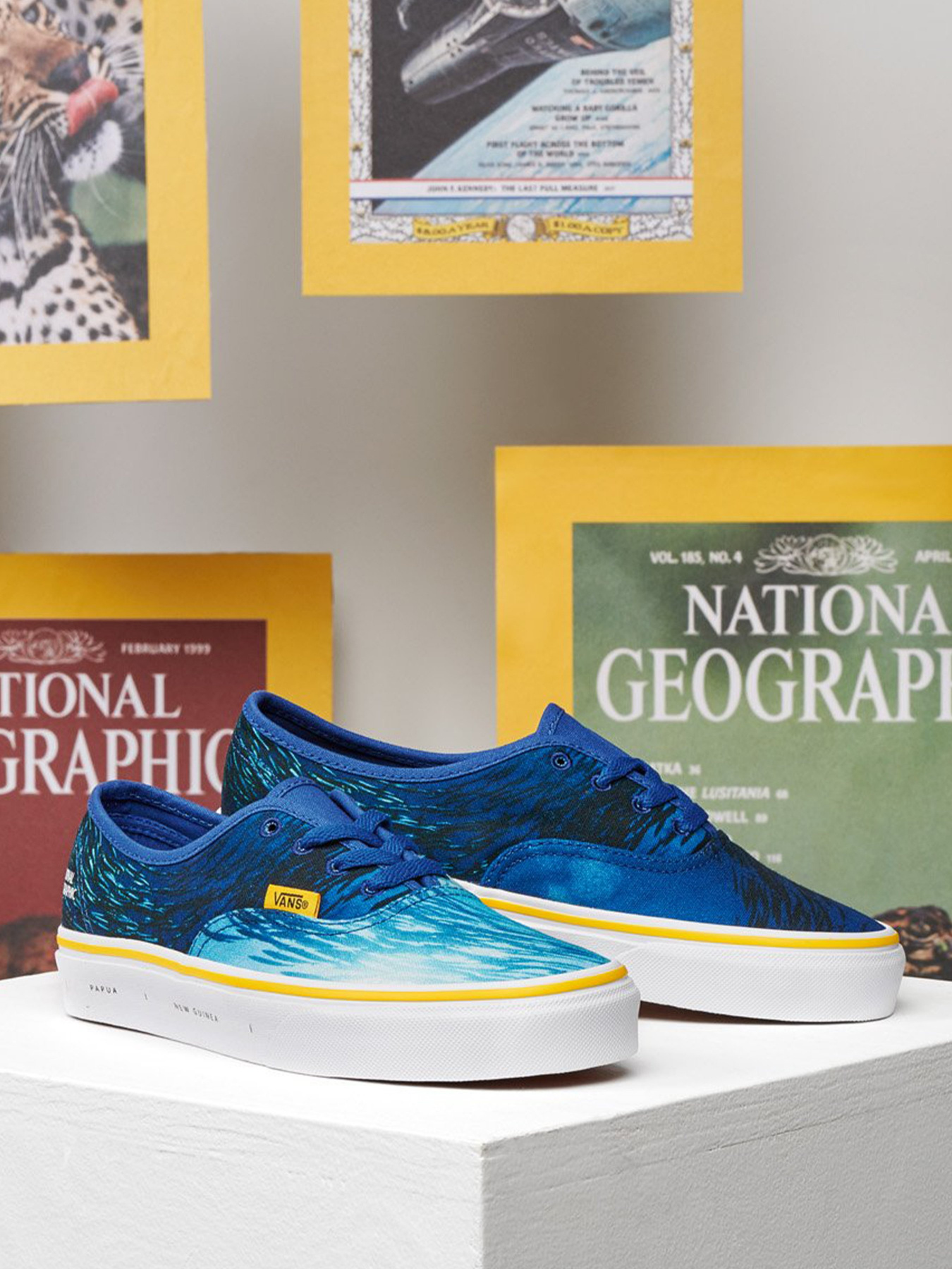 Кеди низькі Vans Authentic модель VN0A2Z5I0021 Фото