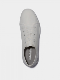 Кеды низкие Timberland Skape Park модель TB0A2688L77 Фото