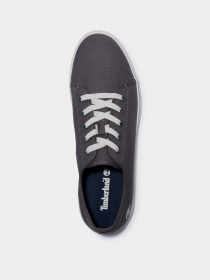 Кеды низкие Timberland Skape Park модель TB0A268J033 Фото