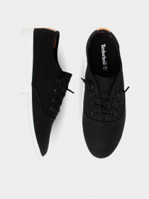 Кеди низькі Timberland Newport Bay модель TB0A28KY001 Фото