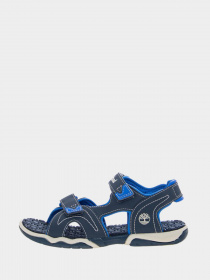 Сандалии Timberland Adventure Seeker 2 Strap модель TB0A1QFH431 Фото