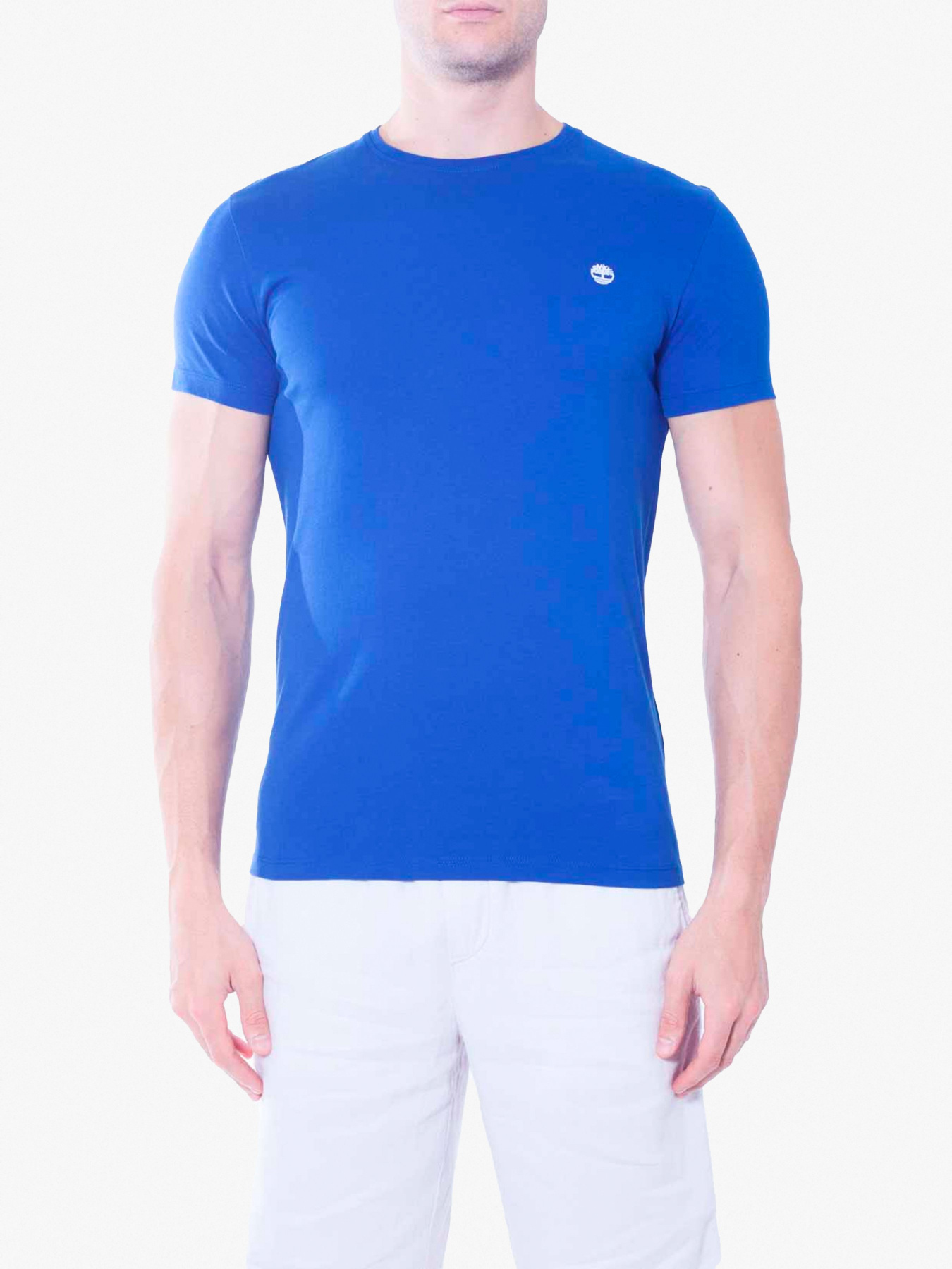 Футболки и поло Timberland Dunstan River модель TB0A1LOT454 Фото