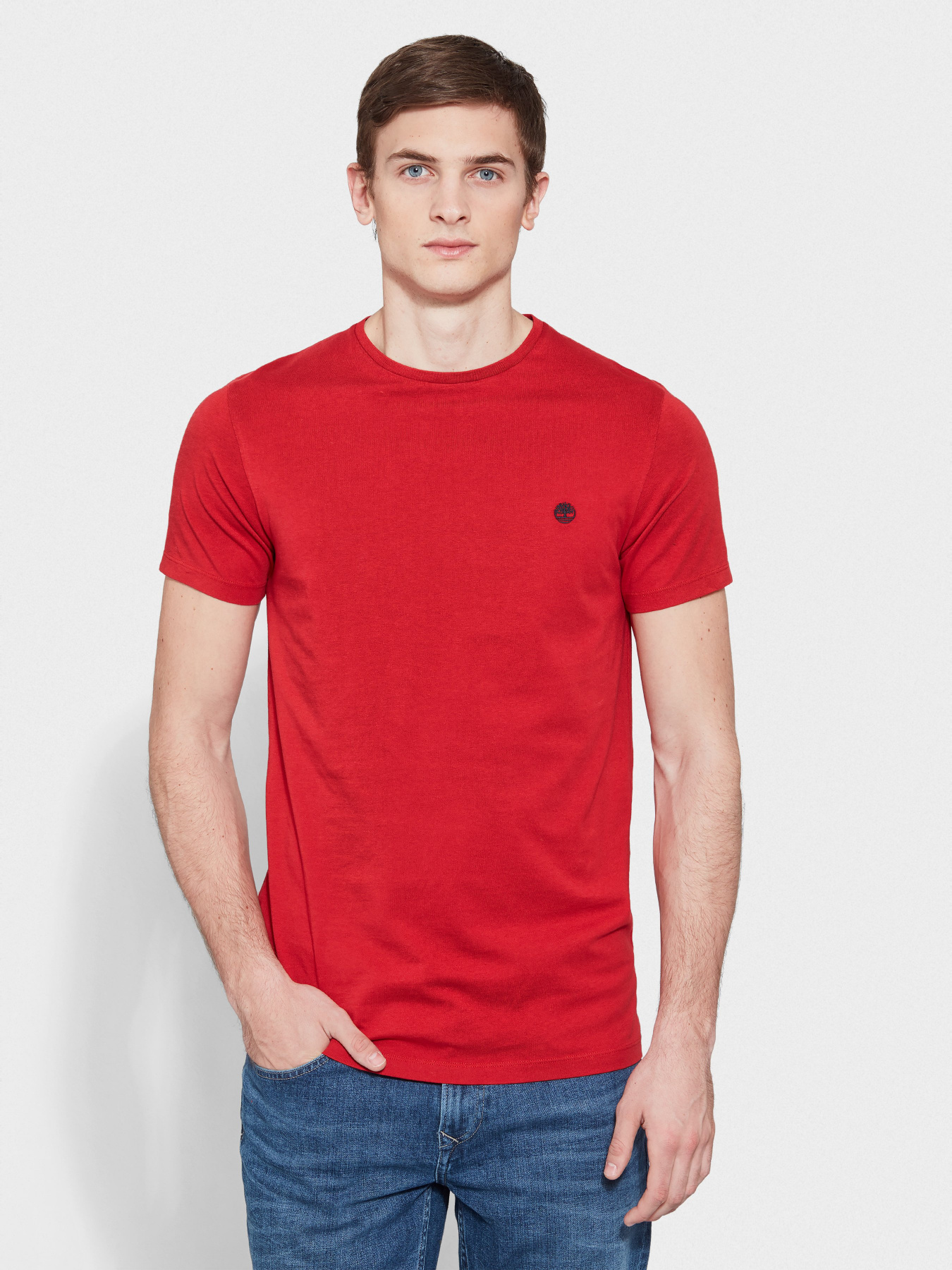 Футболки и поло Timberland модель TB0A1LOTP92 Фото