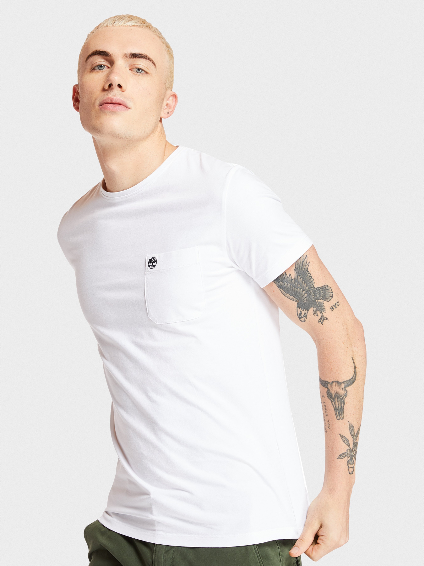 Футболки и поло Timberland Dunstan River модель TB0A1LPG100 Фото