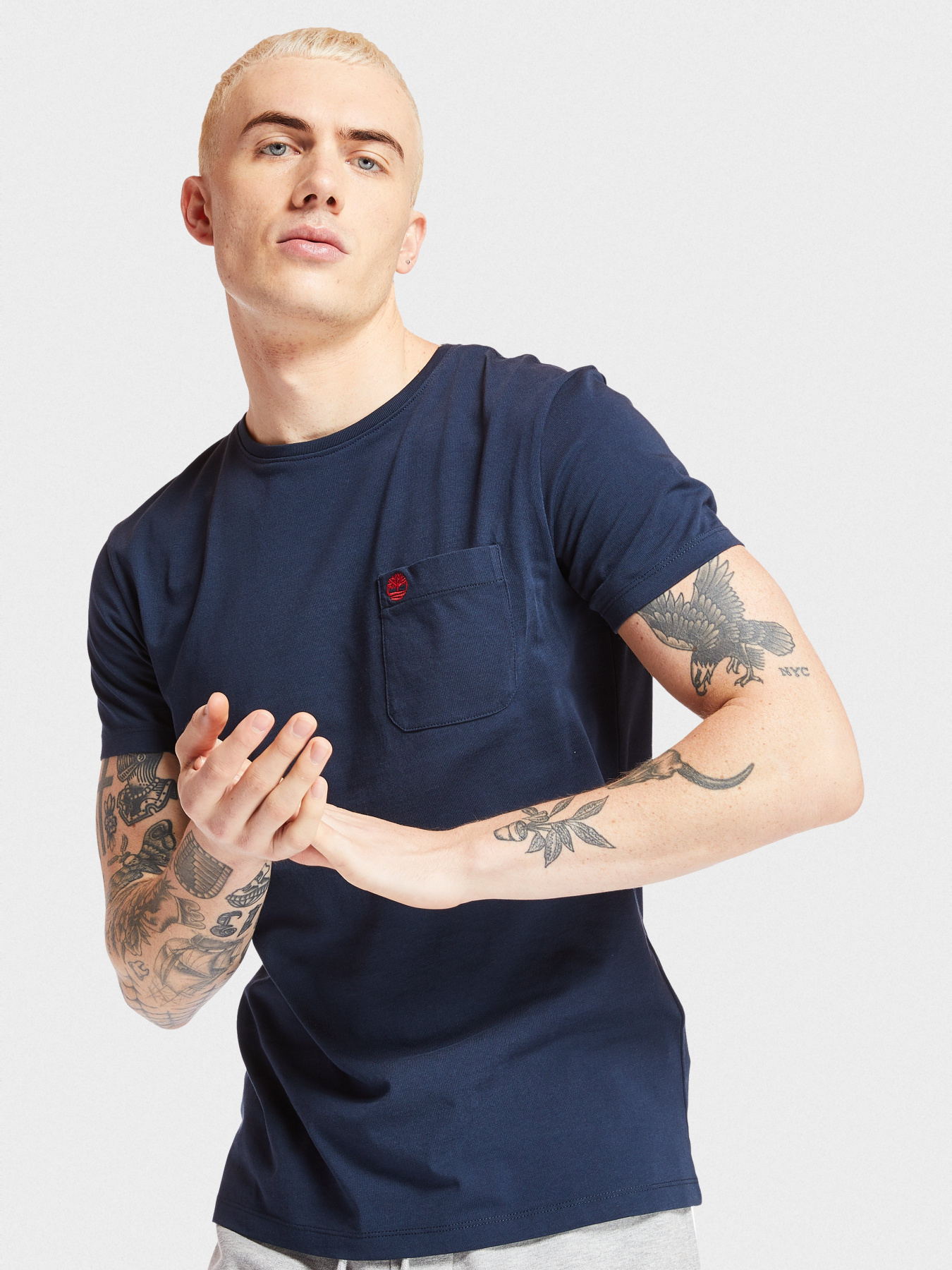 Футболки и поло Timberland Dunstan River модель TB0A1LPG433 Фото