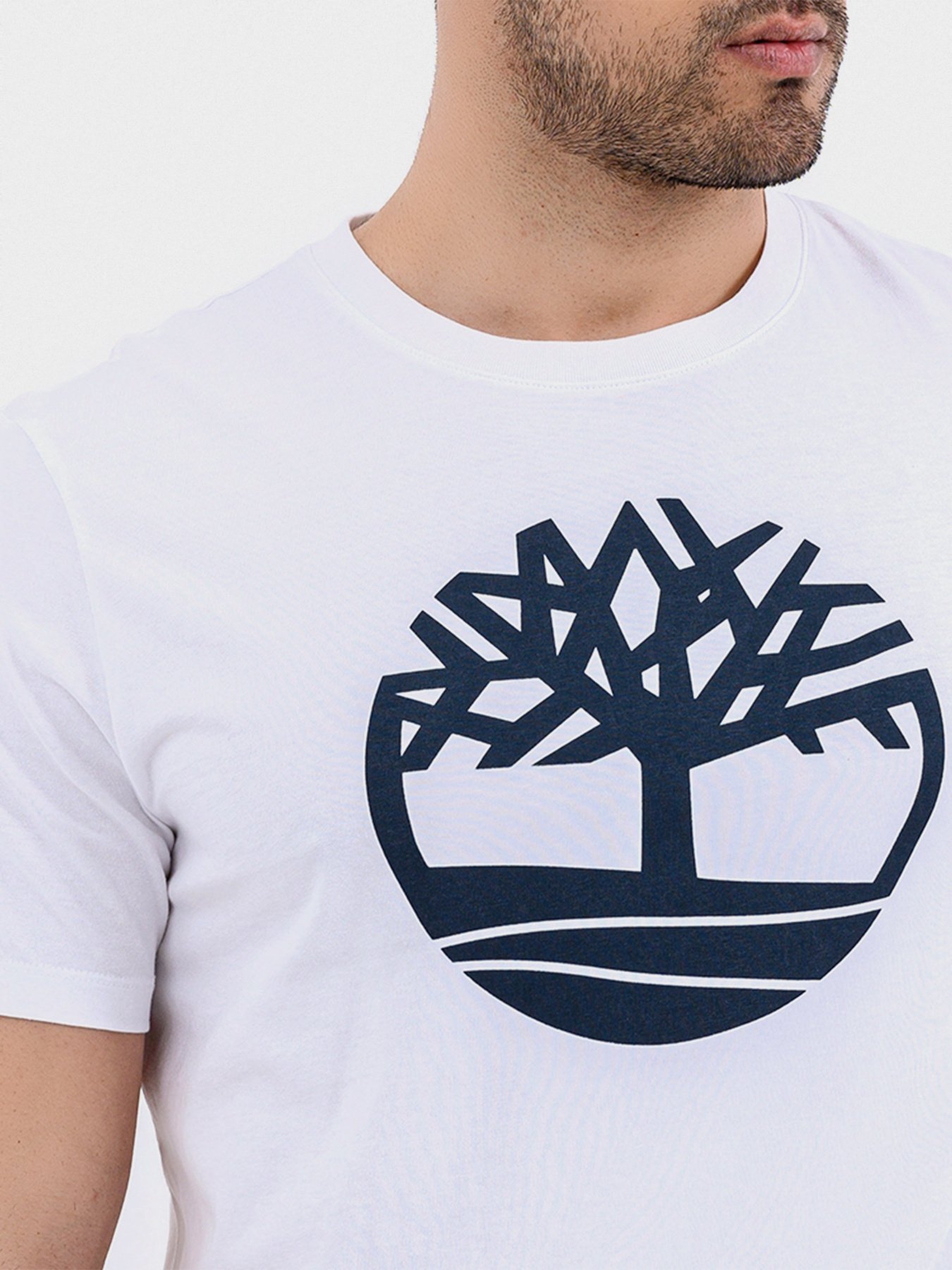 Футболки и поло Timberland KENNEBEC RIVER TREE модель TB0A2CGA100 Фото