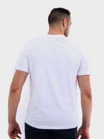 Футболки и поло Timberland KENNEBEC RIVER TREE модель TB0A2CGA100 Фото