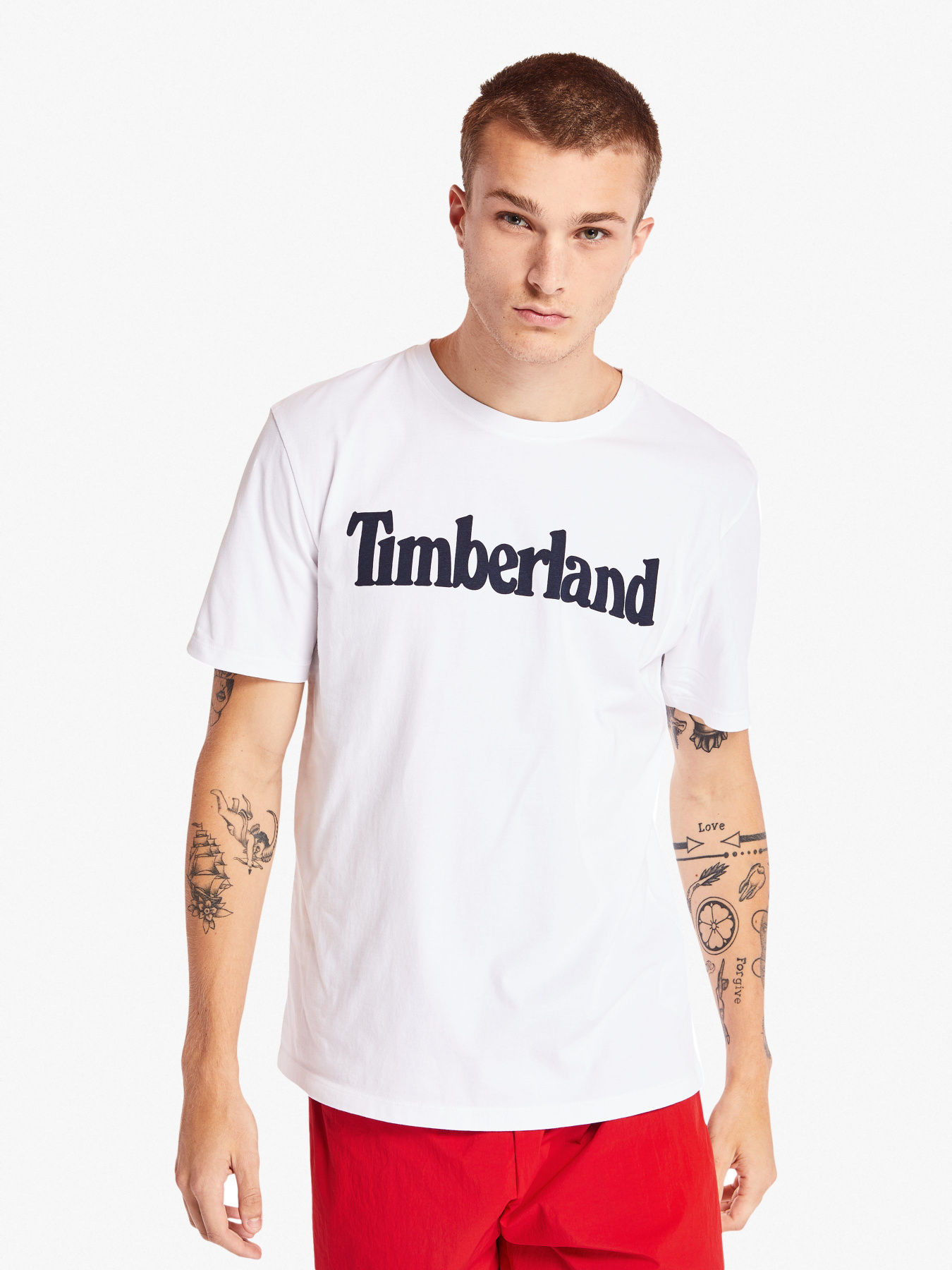 Футболки и поло Timberland Kennebec River модель TB0A28DW100 Фото