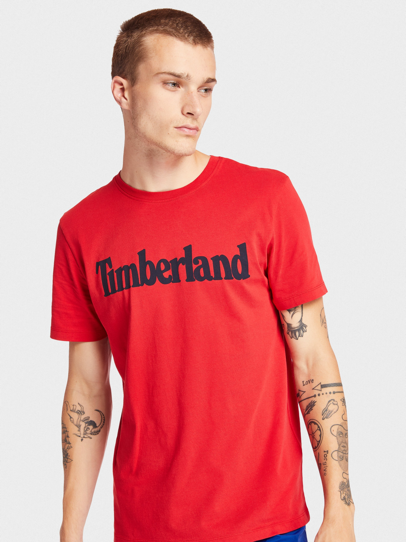 Футболки и поло Timberland модель TB0A28DWP92 Фото