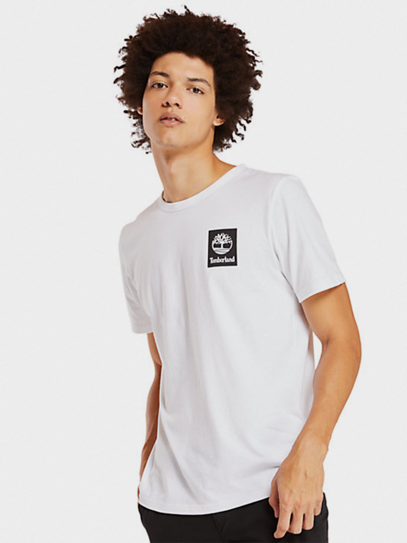 Футболки и поло Timberland модель TB0A29JR100 Фото