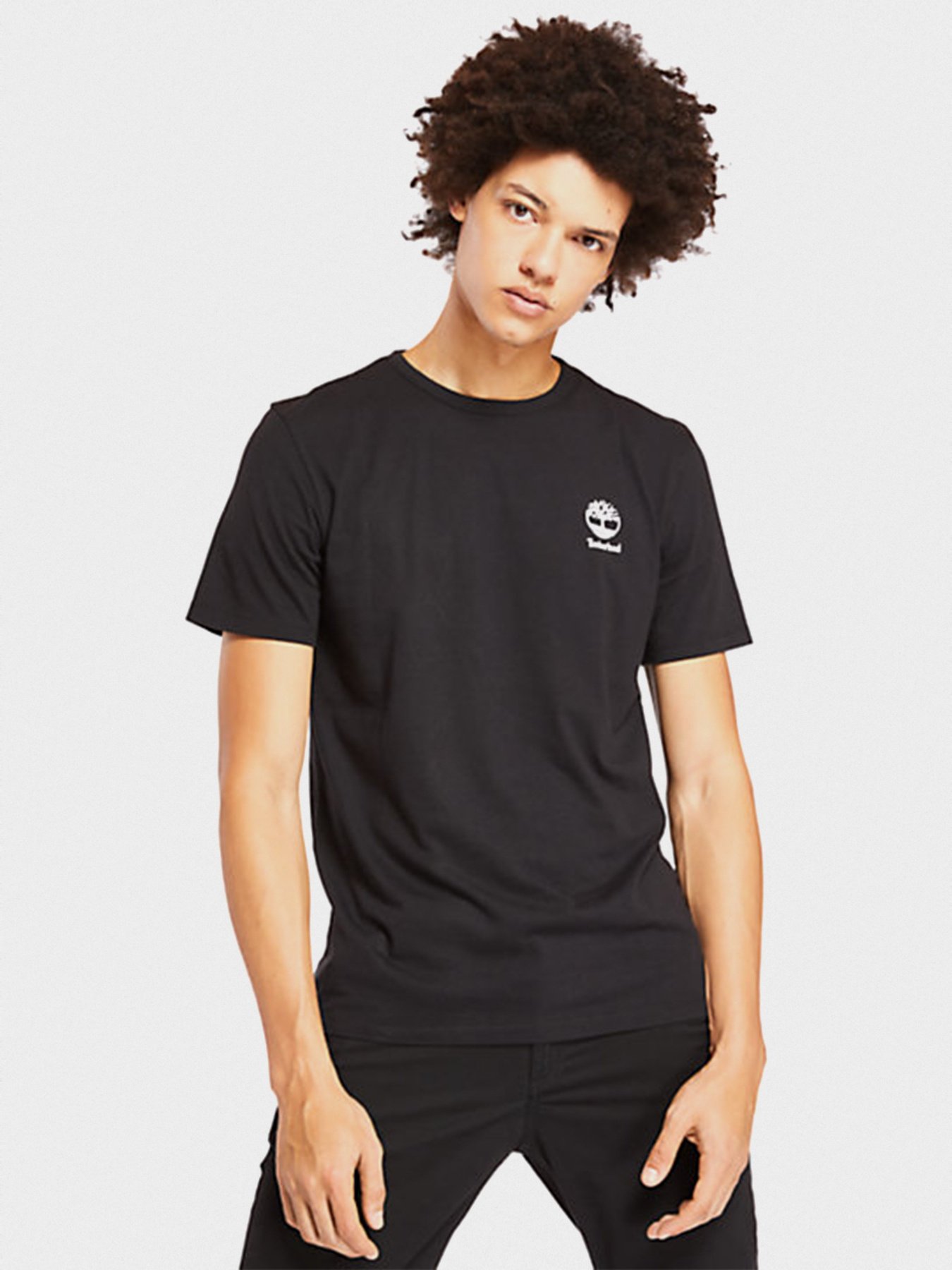 Футболки і поло Timberland RECTANGLE GRAPHIC модель TB0A22RP001 Фото