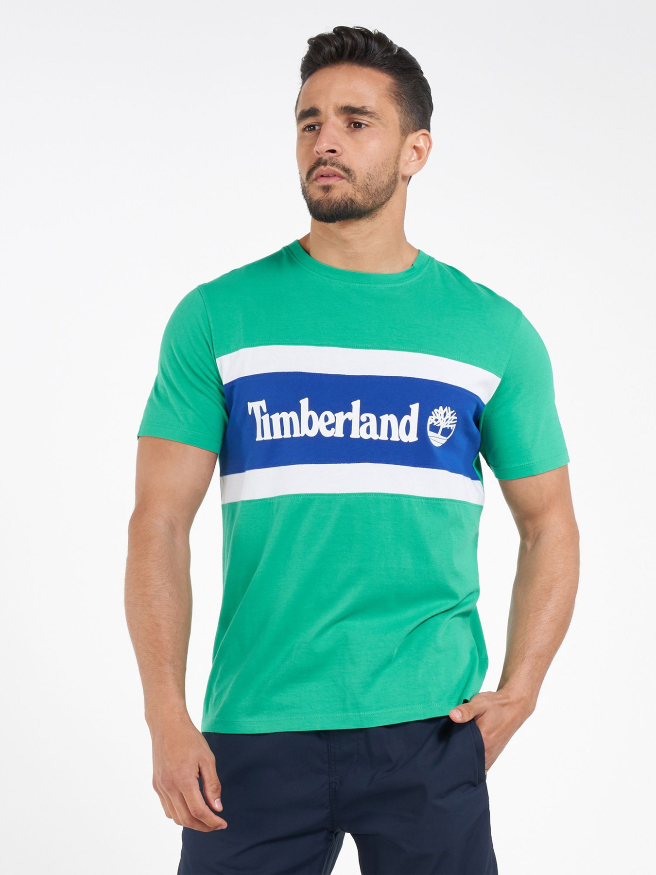 Футболки и поло Timberland модель TB0A22S1Z21 Фото