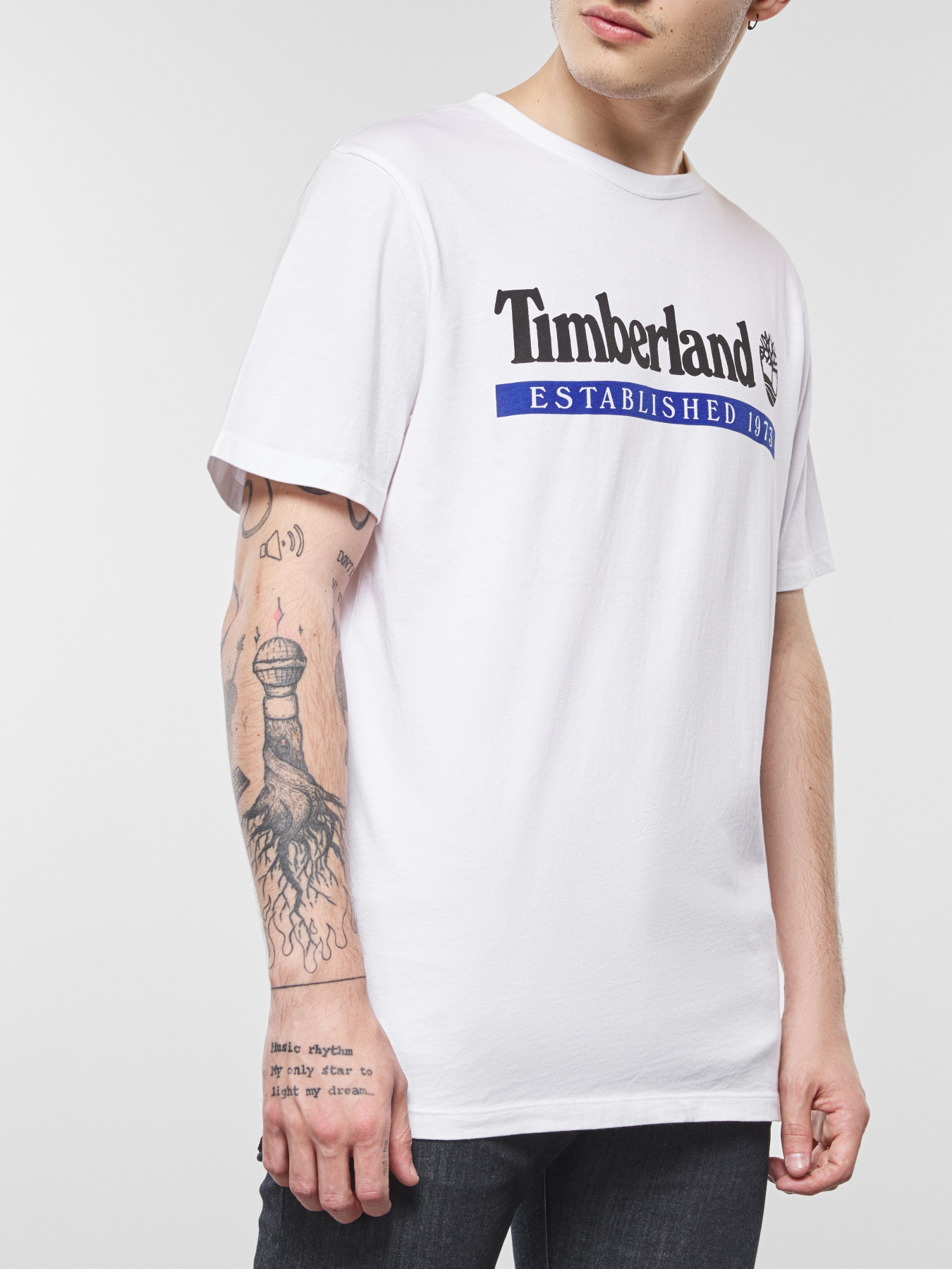 Футболки и поло Timberland модель TB0A22SCZ47 Фото