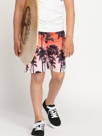 Шорты для плавания Timberland Kids модель T24B02/Z40 Фото