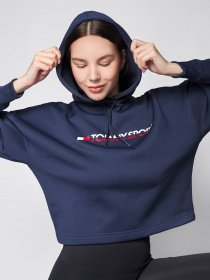 Худі Tommy Hilfiger модель S10S100360-CBK Худі Tommy Hilfiger модель S10S100360-CBK Фото