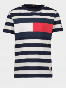 Футболки и поло Tommy Hilfiger модель KB0KB05498-0A4 Фото