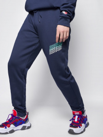 Спортивні штани Tommy Hilfiger модель S20S200346-CBK Фото