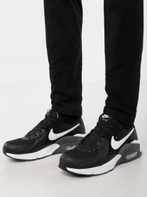 Кроссовки NIKE AIR MAX EXCEE модель CD4165-001 Фото