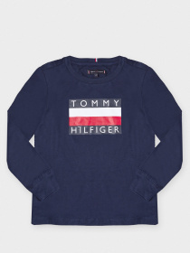 Пуловер Tommy Hilfiger модель KB0KB05426-CBK Фото