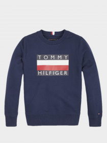 Джемпер Tommy Hilfiger модель KB0KB05474-CBK Фото