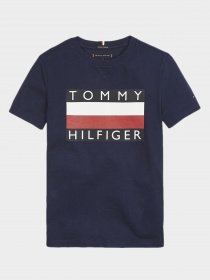 Футболки и поло Tommy Hilfiger модель KB0KB05547-CBK Фото