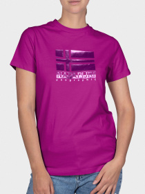 Футболки и поло Napapijri модель NP0A4E3UV021 Фото