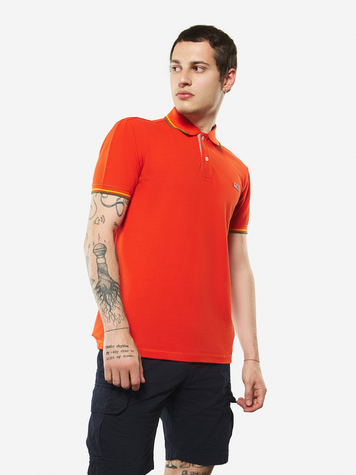 Поло Napapijri Taly Stripe 3 модель NP0A4EGFA211 Фото