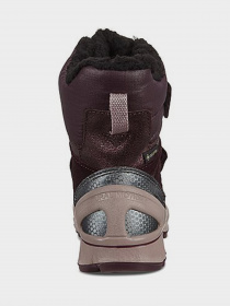 Ботинки ECCO BIOM HIKE модель 73359152132 Фото