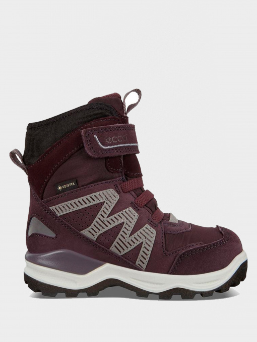 Ботинки ECCO SNOW MOUNTAIN модель 71027205385 Фото