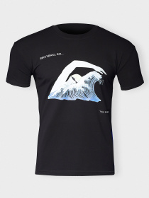 Футболки и поло INTERTOP модель 4108 Фото