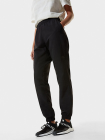 Брюки повседневные The North Face Class V Jogger модель NF0A4APOJK31 Фото