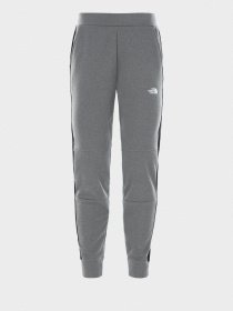 Брюки повседневные The North Face Train N Logo модель NF0A4AQ2DYY1 Фото