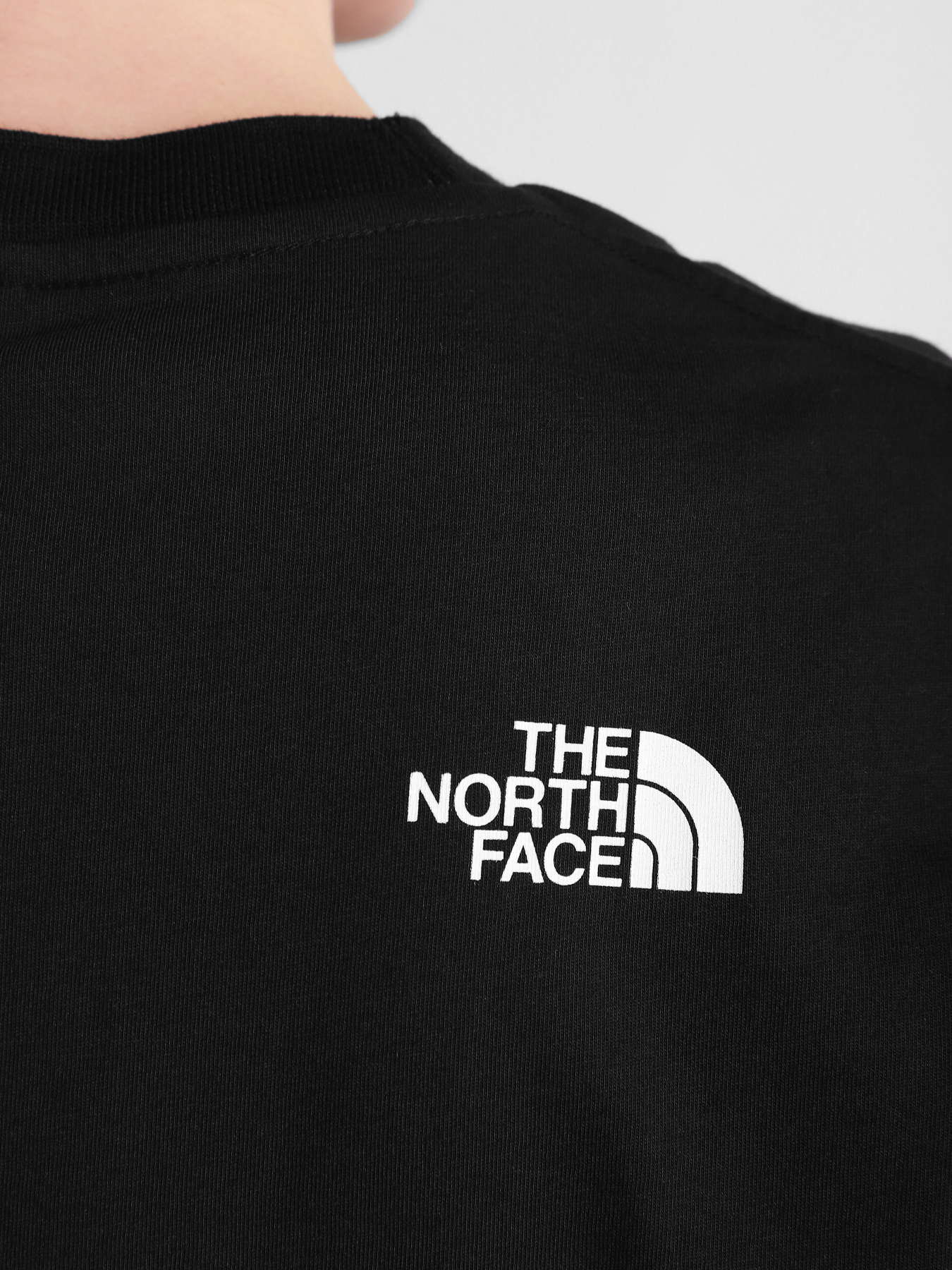 Футболка The North Face Zumu модель NF0A491QJK31 Фото