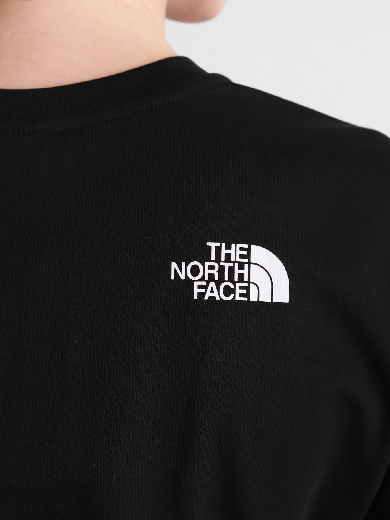 Футболка The North Face Simple Dome модель NF0A4CESJK31 Фото