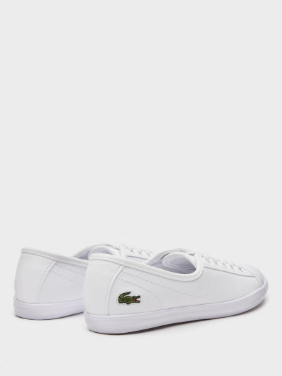 Кеди низькі Lacoste модель 737CFA0065001 — фото - INTERTOP