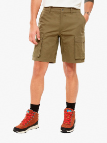 Повседневные шорты The North Face BERMUDA  модель NF0A4CAL7D61 Фото