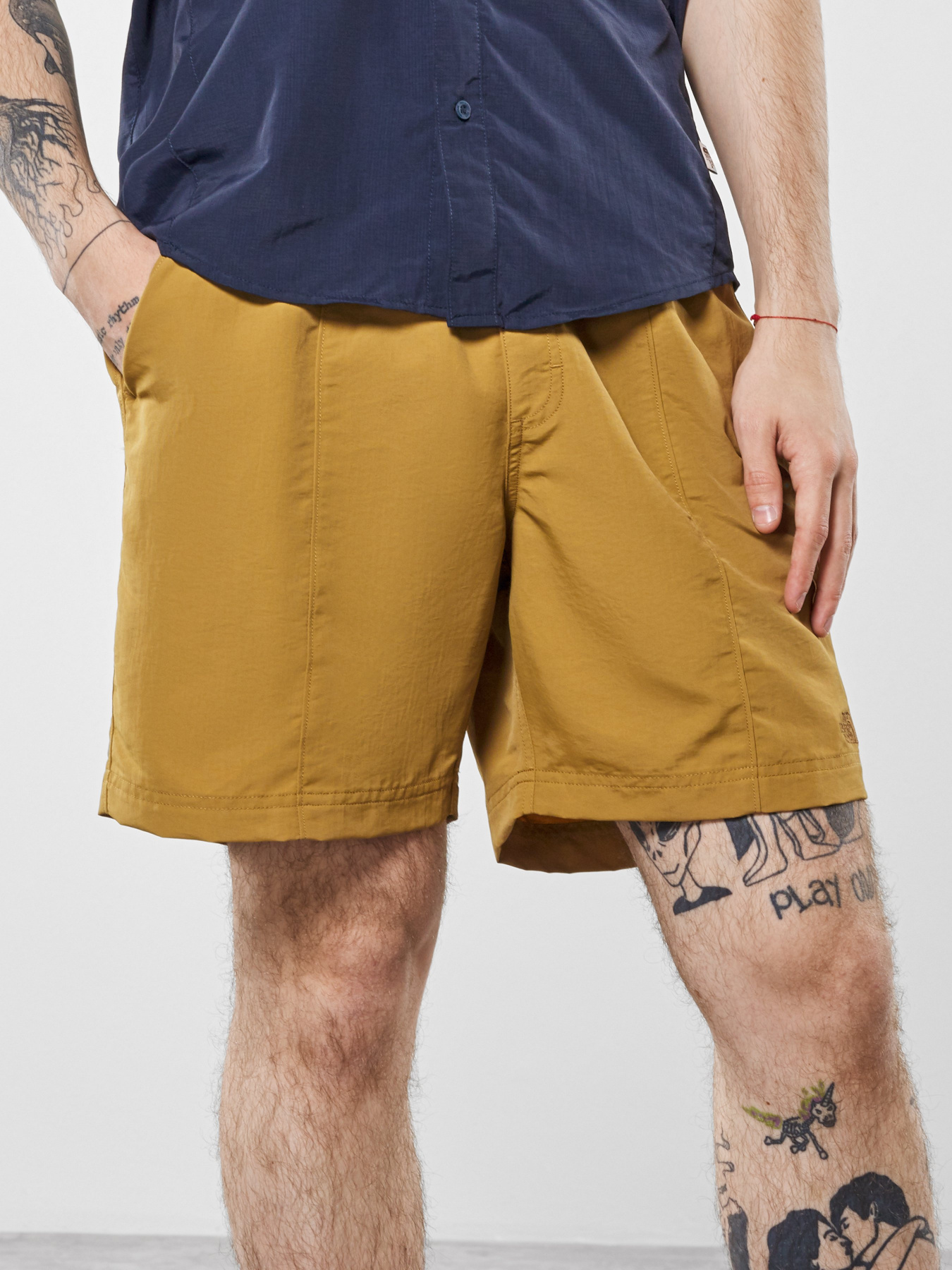 Шорты The North Face Class V модель NF0A48TKD9V1 Фото