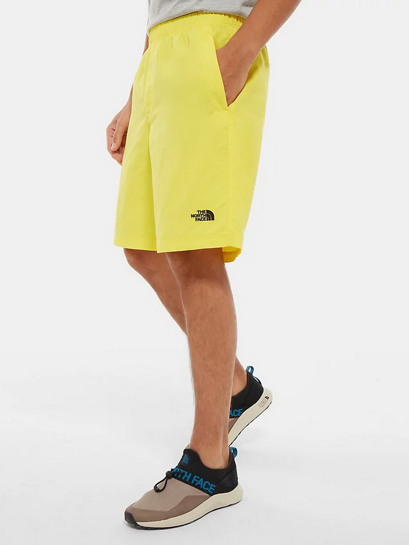 Шорты для плавания The North Face Class V модель NF00CMA1DW91 Фото