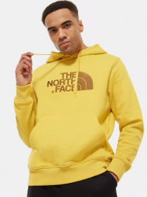 Худи The North Face модель NF00AHJYZBJ1 Фото